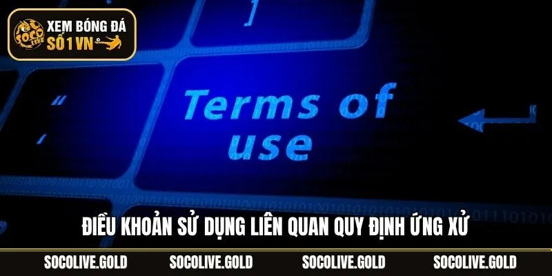 Điều khoản sử dụng liên quan quy định ứng xử
