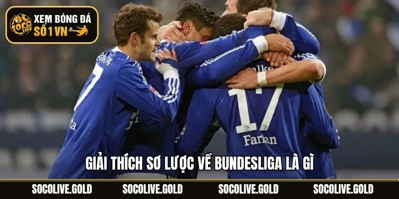 Giải thích sơ lược về Bundesliga là gì