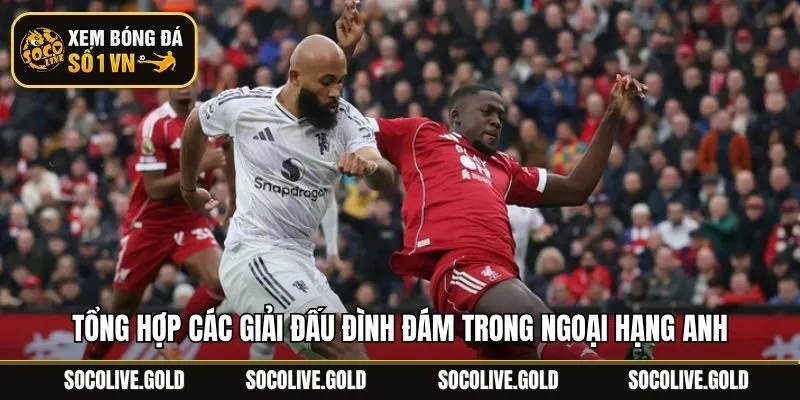 Tổng hợp các giải đấu đình đám trong Ngoại Hạng Anh