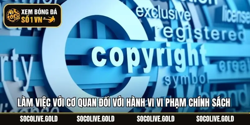Làm việc với cơ quan đối với hành vi vi phạm chính sách bản quyền