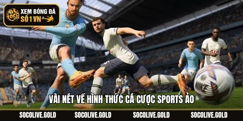 Vài nét về hình thức cá cược sports ảo