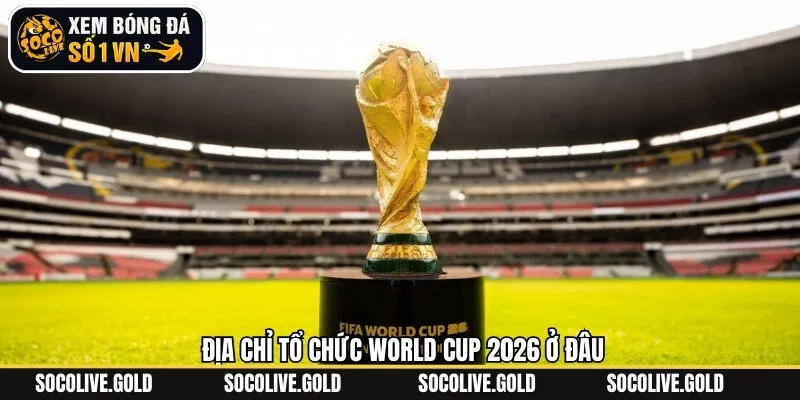 Thông tin địa điểm tổ chức World Cup 2026 ở đâu