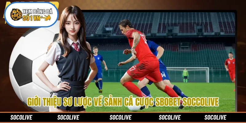 Giới thiệu sơ lược về sảnh cá cược Sbobet Soccolive