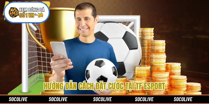 Hướng dẫn cách đặt cược tại TF Esport