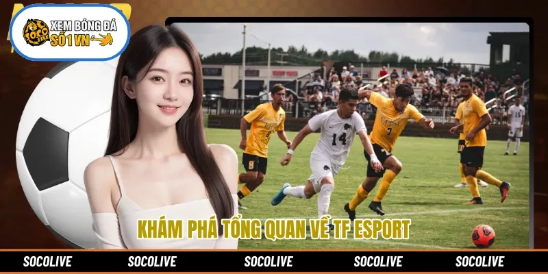 Khám phá tổng quan về TF Esport