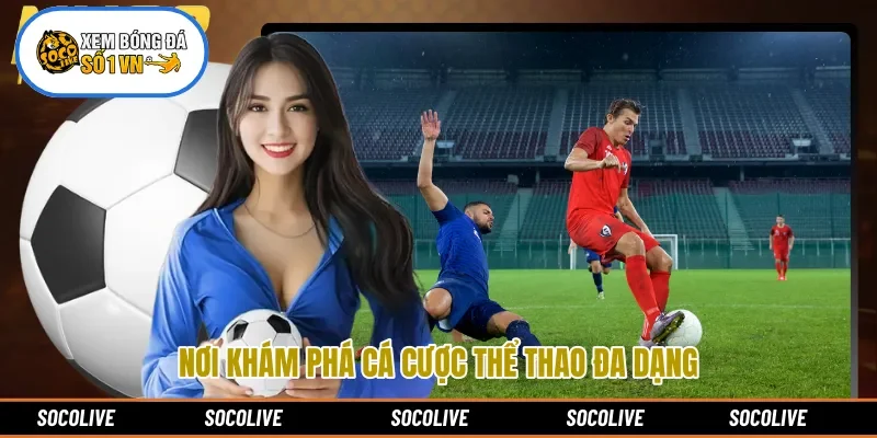 Nơi khám phá cá cược thể thao đa dạng